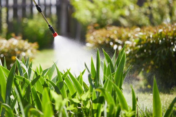 Tamper-Resistant Bait Stations for Rodents in Jefferson