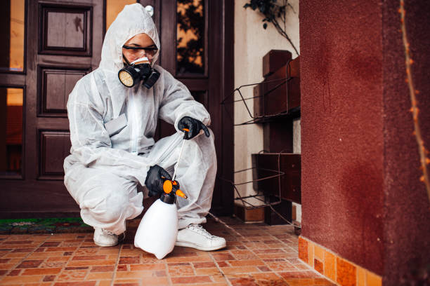 Attic and Crawl Space Rodent Treatment in Jefferson